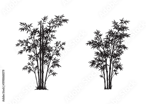 Two bamboo plants with leaves and stems on white background
