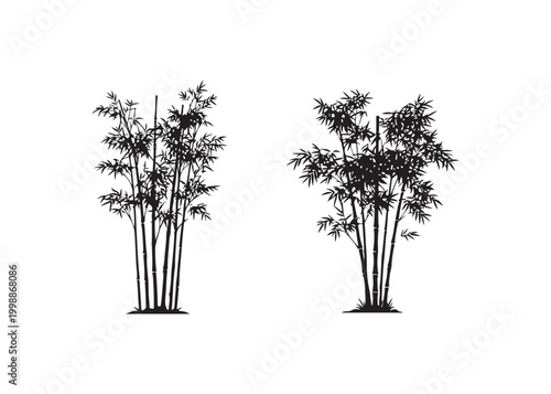 Two bamboo plants with long stems and leaves on white background
