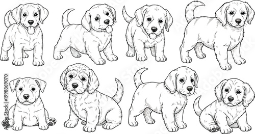 Collection of eight black and white line of labrador retriever puppies in various poses puppy canine