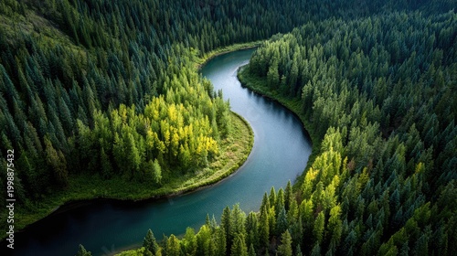 Aerial View of Serpentine River Flowing Through Lush Green Forest with Dense Trees and Scenic Landscapes in Natural Wilderness