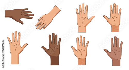 Diverse Hands Collection: Various Skin Tones and Poses, Unity and Inclusion Concept