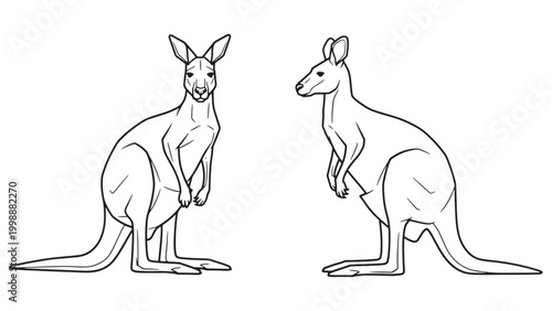 Detailed black outline illustration of two standing kangaroos, one front view and one side profile, isolated on a white background, representing Australian wildlife.