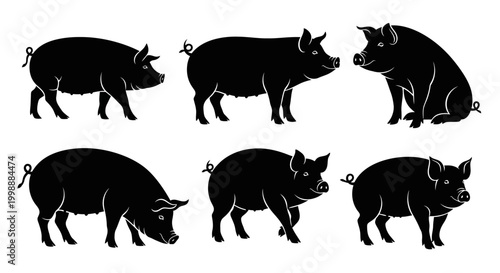 Set of Pig Silhouettes in Various Poses