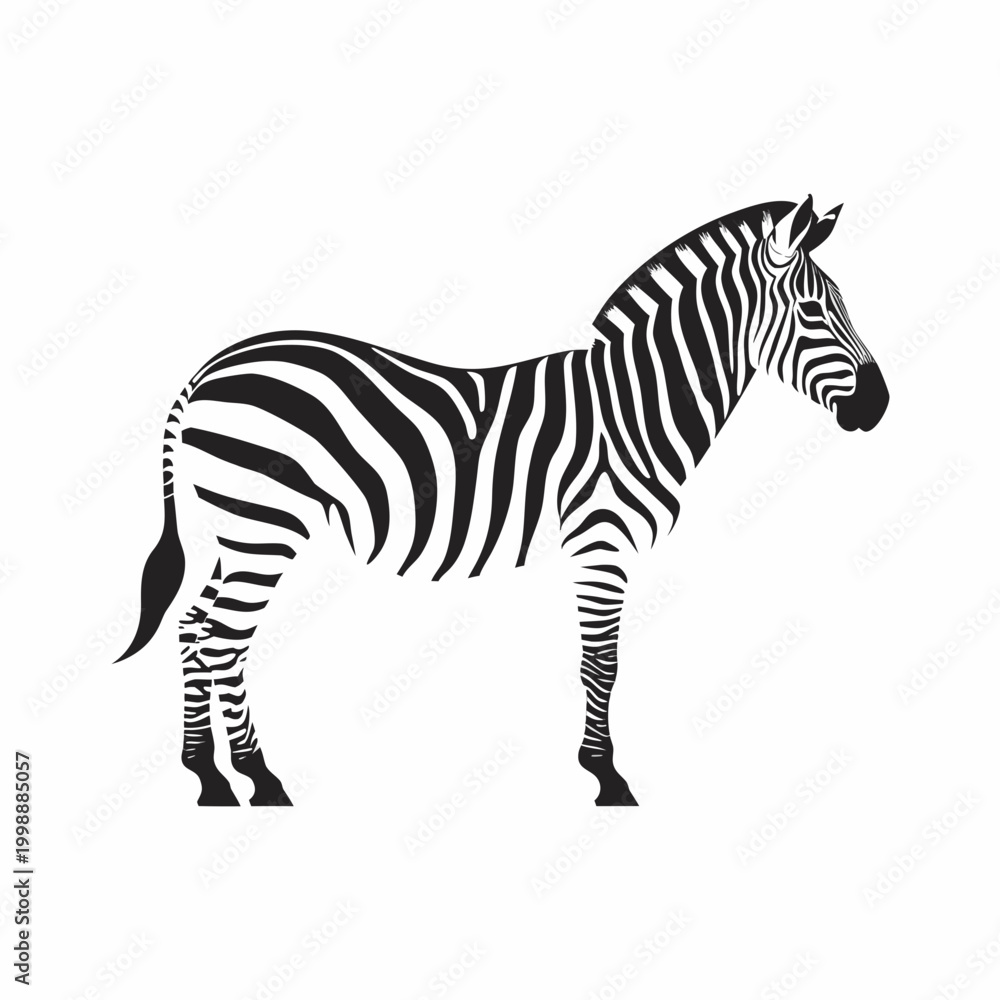 Obraz premium Zebra, black and white stripes, animal illustration, wildlife icon, vector graphics