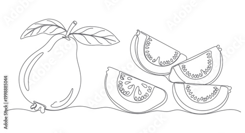 Pear and Tomato Slices Outline Drawing