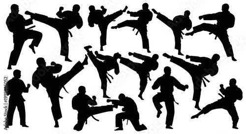 Karate Silhouette Collection: Dynamic Kicks and Punches in Martial Arts Poses