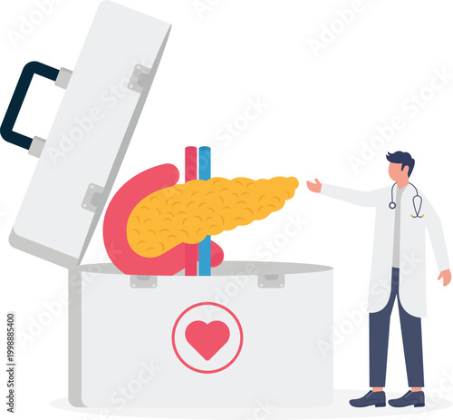 Doctor presenting a giant pancreas in a medical kit