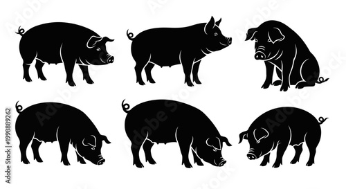 Set of Pig Silhouettes in Various Poses
