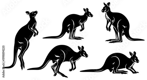 Kangaroo Silhouette Collection in Various Poses on White Background