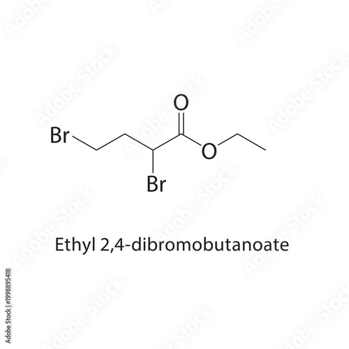 Ethyl 2,4-dibromobutanoate skeletal structure. halogenated ester compound schematic illustration. Simple diagram, chemical formula.