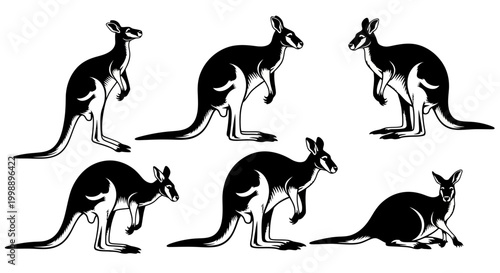 Kangaroo Silhouette Set, Vector Animal Illustrations