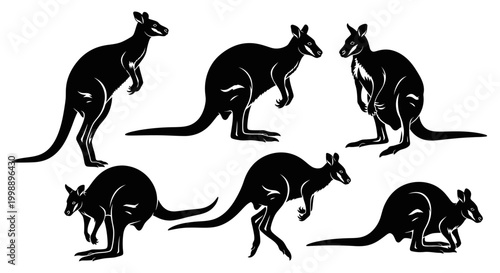 Kangaroo Silhouette Set, Vector Animal Illustrations