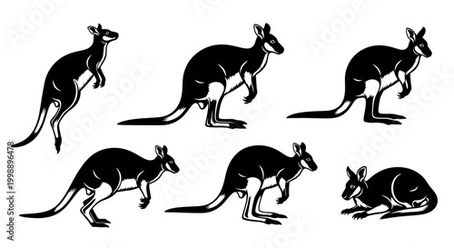 Kangaroo Silhouettes in Various Poses ? Australian Wildlife Graphics