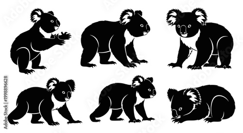 Koala Bear Silhouette Set, Vector Animal Illustrations
