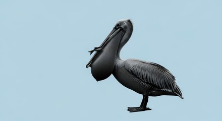 A striking profile of a brown pelican with its distinctive pouch, posed against a soft blue sky, showcasing its aquatic hunting prowess.