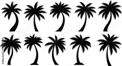 Collection of ten black silhouettes of palm trees with varied trunk shapes and frond arrangements on a white background