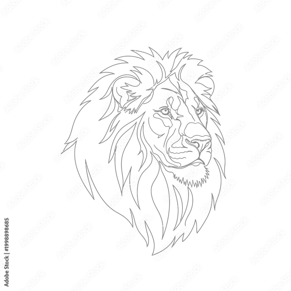 Obraz premium Majestic lion head line art drawing with detailed mane and fierce expression wild animal big cat white background illustration