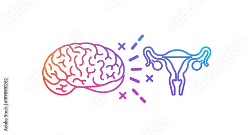 Brain and Uterus Connection: Hormonal Communication and Reproductive Health