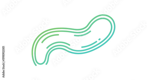 Abstract Pancreas Icon with Gradient Colors, Medical Health Symbol