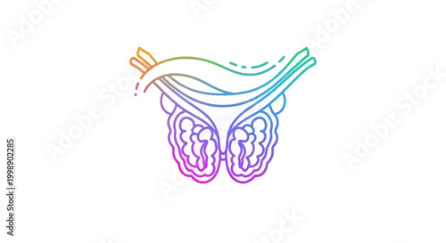Abstract Rainbow Gradient Prostate Gland Illustration - Medical Health Concept