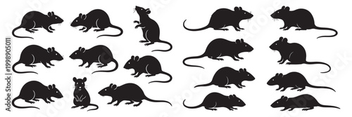 Fotografie Rat and mouse silhouette collection
