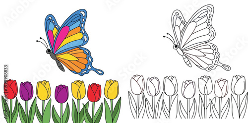 Butterfly and Tulip Flowers Coloring Book Page Set for Kids Activity Educational Vector Illustration with Colored Example and Outline Line Art for Children Creativity and Learning