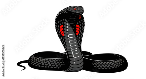 Black Cobra Snake Illustration, Threatening Pose, Isolated on White Background