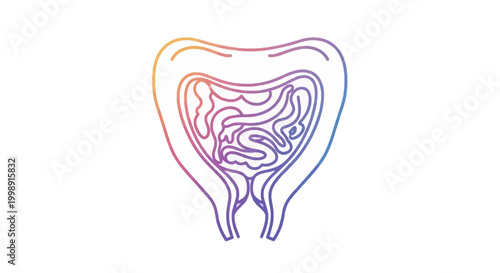 Abstract illustration of human urinary bladder with intestines inside, gradient colors
