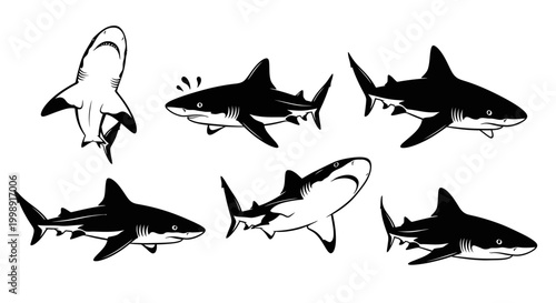Set of Hand Drawn Shark Illustrations in Different Poses