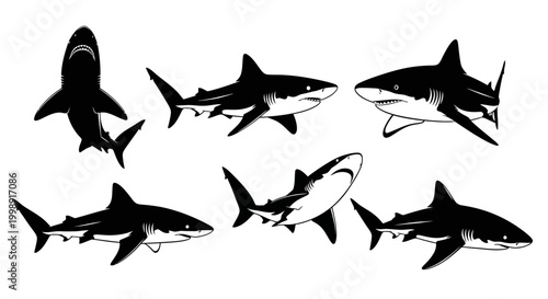 Set of Black Shark Silhouettes in Various Swimming Poses