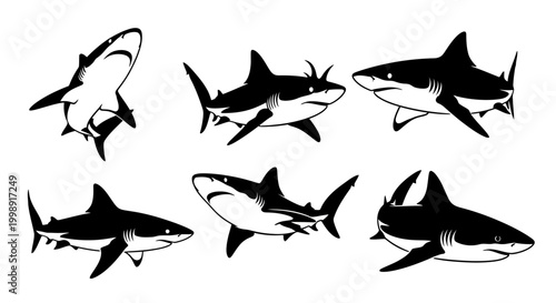 Set of Shark Silhouettes in Various Poses, Vector Illustration