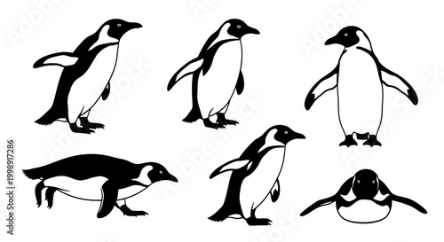 Penguin silhouettes in various poses isolated on white background
