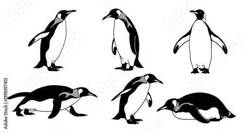 Set of Penguin Illustrations in Various Poses