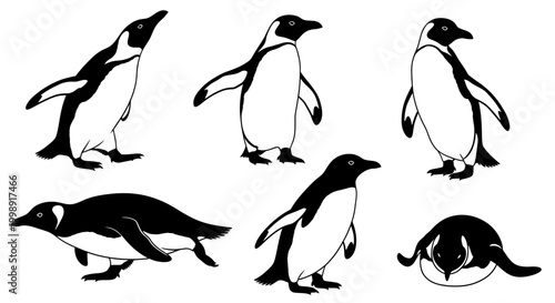 Set of Penguin Silhouettes in Various Poses ? Wildlife Vector Art