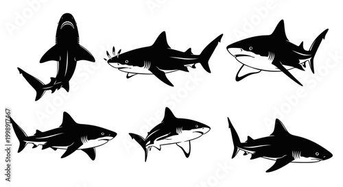 Set of shark silhouettes in various swimming poses on white background