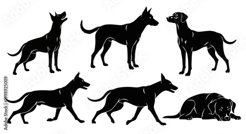 Set of Dog Silhouettes in Various Poses