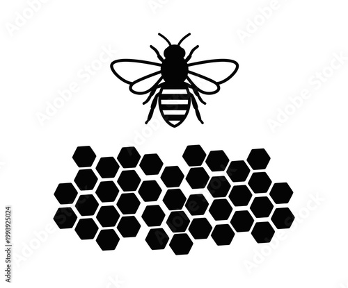 Illustration of a bee above a honeycomb pattern, symbolizing nature and the production of honey, suitable for various design projects