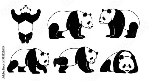 Set of Cute Panda Bear Silhouettes in Various Poses