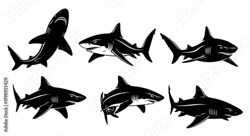 Set of Black Shark Silhouettes on White Background