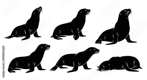 Sea Lion Silhouettes Set: Vector Illustrations of Seals in Various Poses