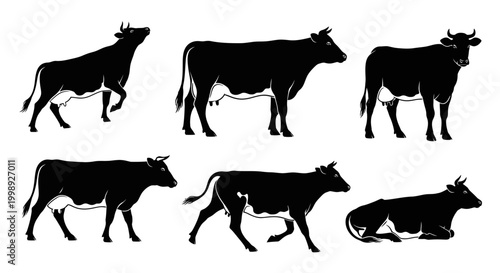 Set of Black Cow Silhouettes on White Background, Various Poses