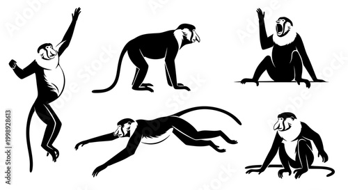 Set of Proboscis Monkey Silhouettes in Various Poses