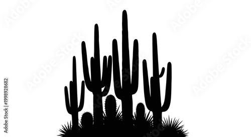 Desert Cactus Plants Silhouette.