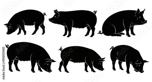 Set of black pig silhouettes in different poses, farm animals, vector graphics