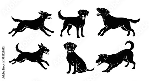 Set of Black Labrador Dog Silhouettes in Various Poses