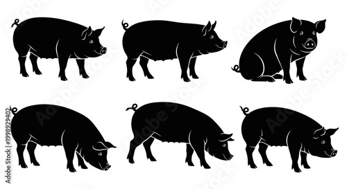 Set of Black Pig Silhouettes in Various Poses