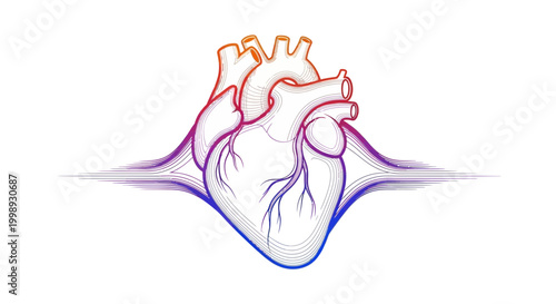 Artistic Heart Illustration with Colorful Veins and Arteries