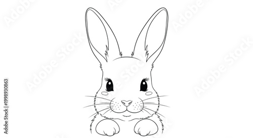 Detailed black and white line art illustration of a cute rabbit looking forward with its paws visible at the bottom.