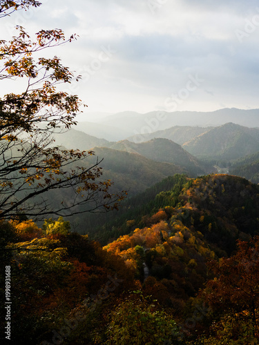 Autumn mountain landscape with colorful forest in Japan