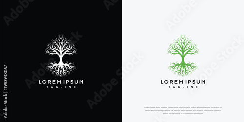 Symmetrical Tree With Roots Logo Design - White and Green Variations
